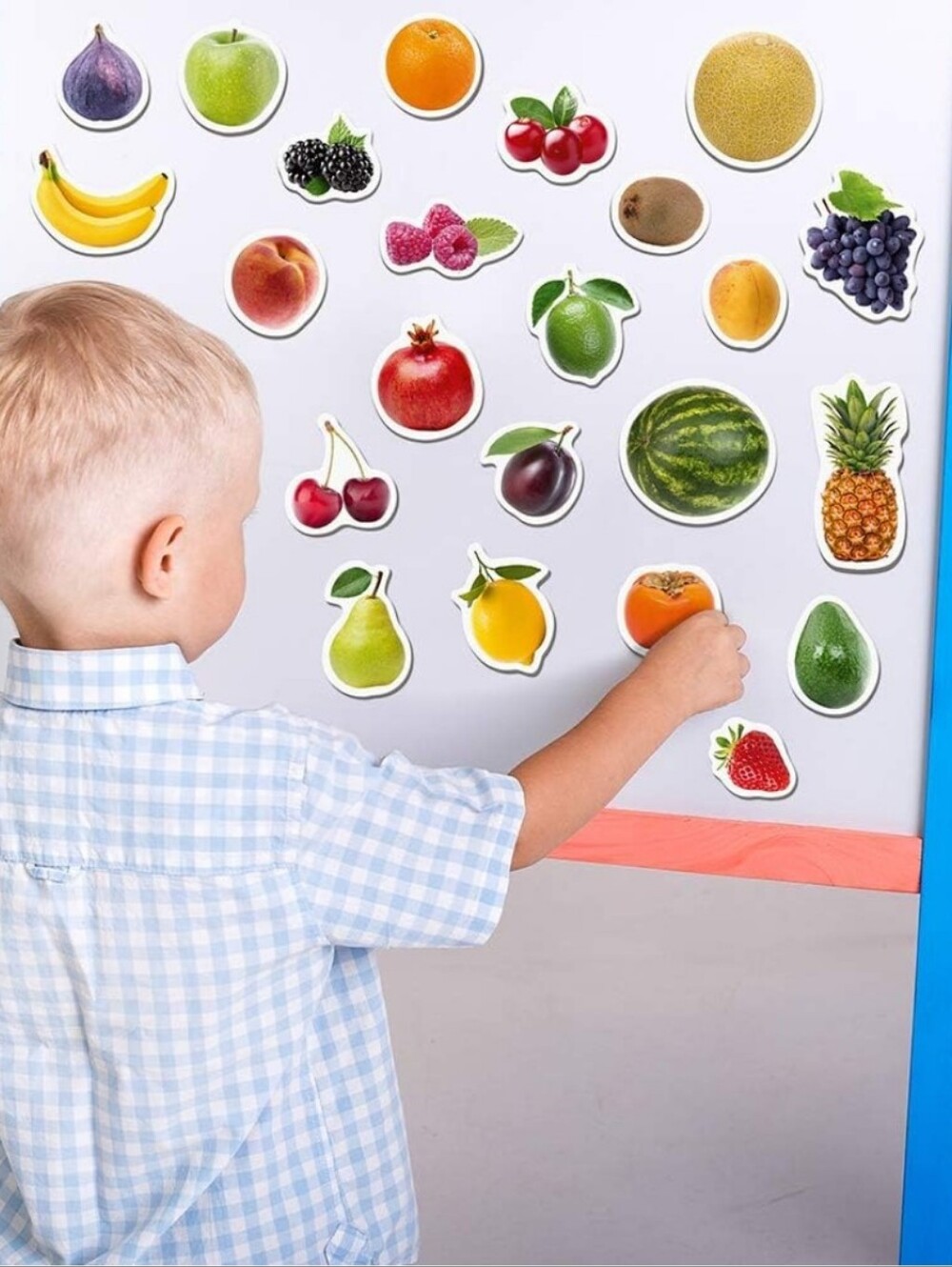 Fruit & Vegetable Magnet Set Of 50 - Picture 3 of 4